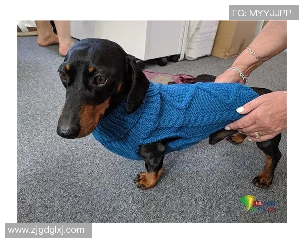 足球明星穿搭揭秘他们的时尚衣橱与个性风格解析