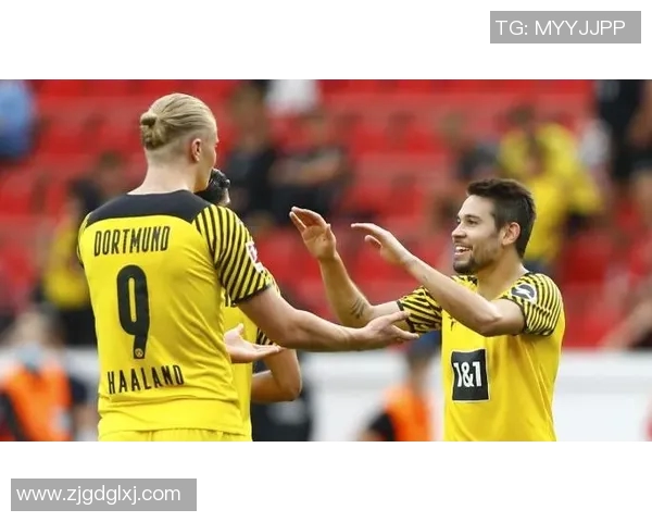 哈兰德：从天才少年到足球巨星的崛起之路与未来展望